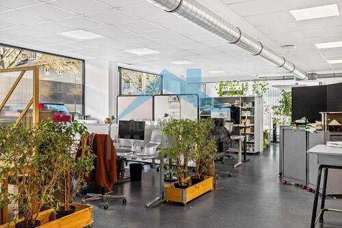 Ladenlokal - Gewerbeobjekt (Büro, Produktion, Verkauf) in Kassel / Mitte