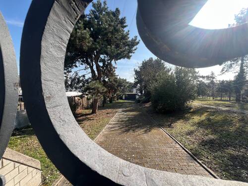 Blick aufs Grundstück - 