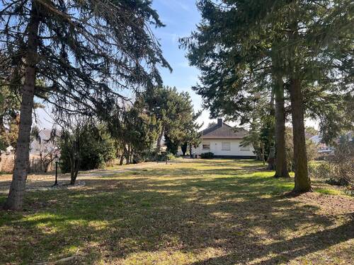 Blick aufs Grundstück und Haus - 