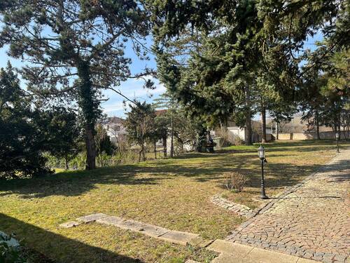 Blick aufs Grundstück - 