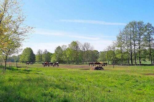 Reit- und Ferienanlage - 