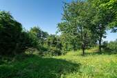 Garten.jpg - 