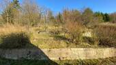 Gartengrundatück - 