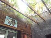 Pflanzendecke - 