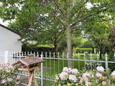 Blick in den Garten - 