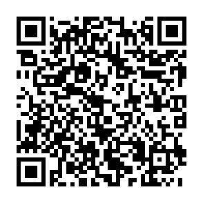 QR-Code - 