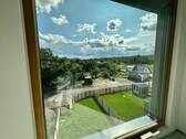 Ausblick in den Garten - 