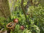 Blick von der Terrasse - 