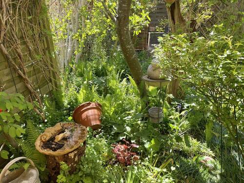 Blick von der Terrasse - 