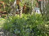 Gartenbereich - 