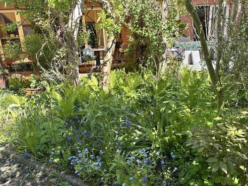 Gartenbereich - 