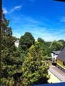 Ausblick aus dem Badfenster ins Grüne - 