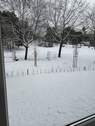 Ausblick in Park (Winter) - 