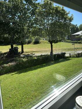 Ausblick in Park (Sommer) - 