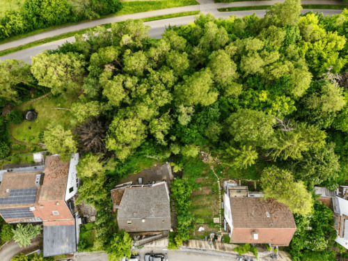 Luftaufnahme - Attraktives Baugrundstück in idyllischer Lage auf dem Kapellenberg (Ein- & Zweifamilienhaus möglich)