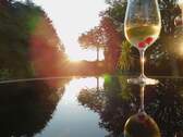 Bild 18 - 