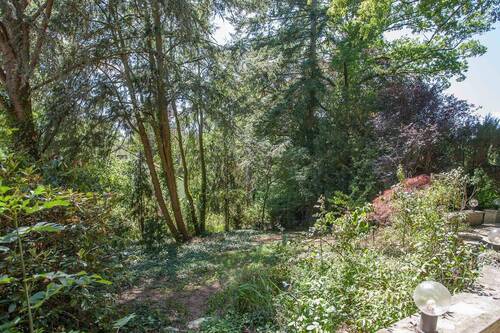 Blick in den Garten - 