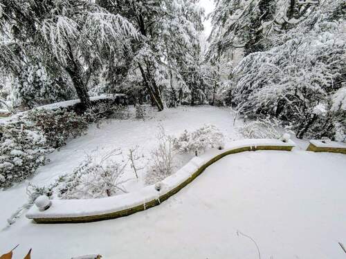 Terrasse und Garten - 