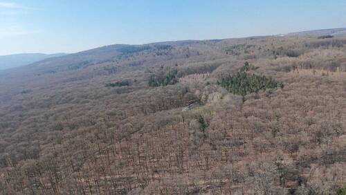 Rundumsicht 3 - Grundstück in Friedrichsdorf zum Kaufen