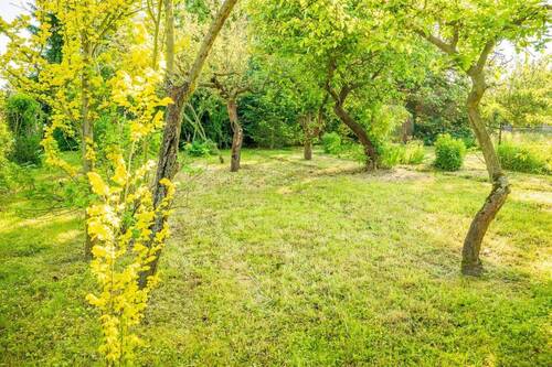 Garten - 