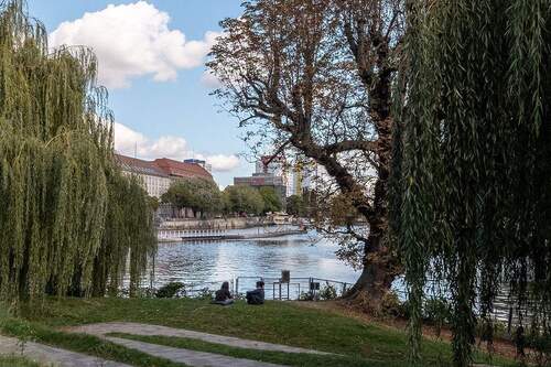 Fischerinsel in der Nachbarschaft - 