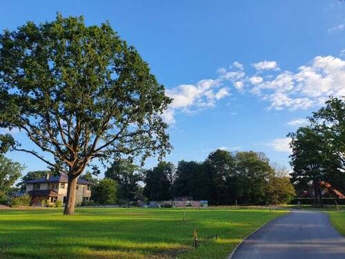 Bild 4 - Grundstück zum Kaufen in Wildeshausen