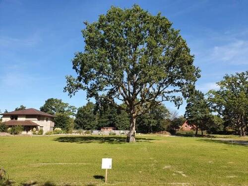 Am Spascher Ring 8 - 