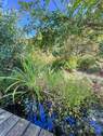 Teich - 