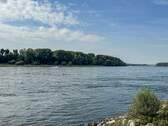 Rhein - 