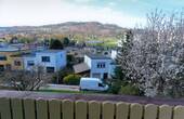 Blick vom oberen Balkon auf Themar - 
