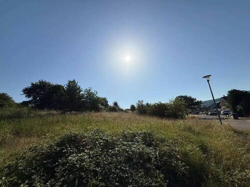 dc8aab59-f6fe-41d7-8aa8-a7fd72558b22.webp - 