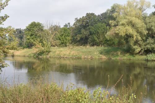 Ausblick/Umgebung - 4 Zimmer Mehrfamilienhaus, Wohnhaus in Salzatal