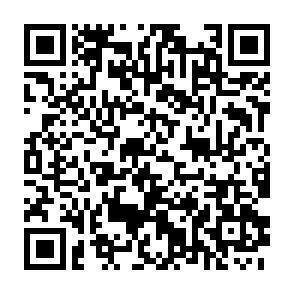 QR-Code - 