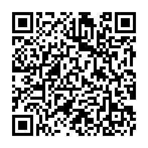 QR-Code - 