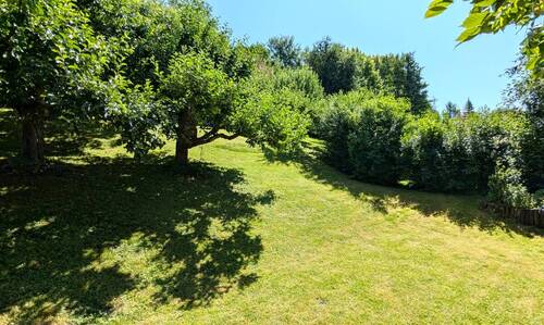 Grund und Boden! - 