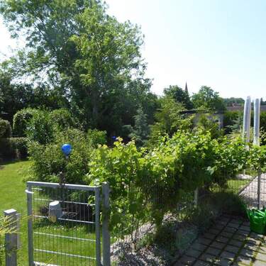 Eingang gr. Garten hintere DHH - 3 Zimmer Doppelhaushälfte in Fehmarn (Petersdorf)