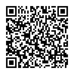 QR-Code - 