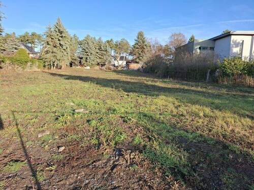 Gesamtansicht von vorn - Baugrundstück mit Ausblick Richtung Einetal am Stadtrand von Aschersleben (-Goetheblick-)
