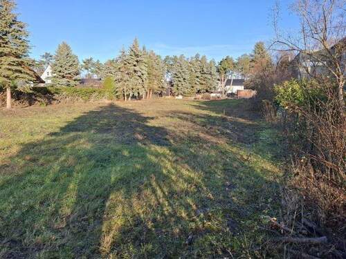 rechter Grundstücksseite von vorn - 