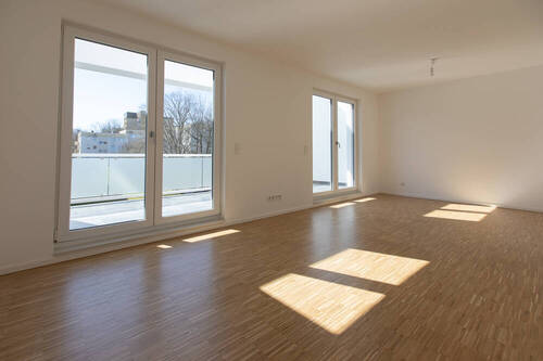 Zimmer DG - 