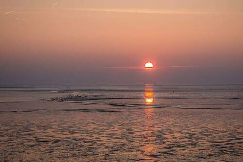 Sonnenuntergang Friedrichskoog-Spitze - 