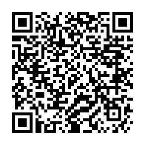 QR-Code - 