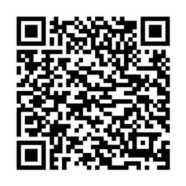 Bild 11 - 