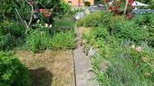 Garten - 