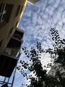 Bild 7 - 