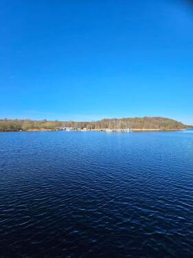 20260320_155834.jpg - 