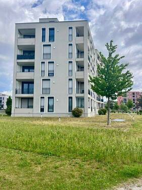 Ansicht MFH - 