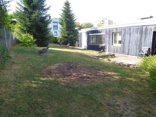 Garten hinterm Haus - 