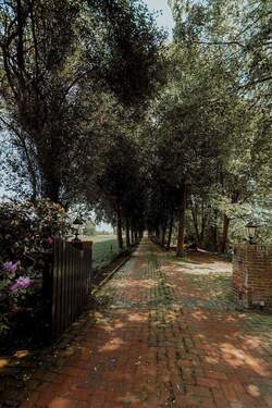 Zufahrt - 1 Zimmer Einfamilienhaus zum Kaufen in Seester