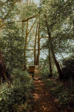 verwunschener Spielhain - Einfamilienhaus mit 630,00 m&sup2; in Seester zum Kaufen